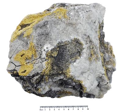 Marcasite / Quartz, Bryn y Rafr. (CWO) Bill Bagley Rocks and Minerals